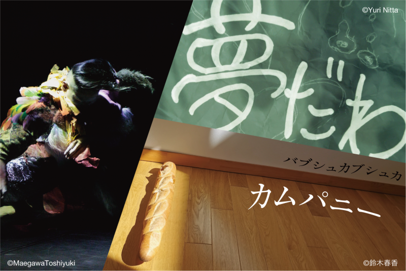 ［A］“Imitating the cries of imaginary creatures(Alien Blues) ”<small>MIYA Yusuke</small></br> ［B］ “comepanee”<small>babushkabushuka </small></br>［C］“A dream!”<small>team KEIKOKAI</small>