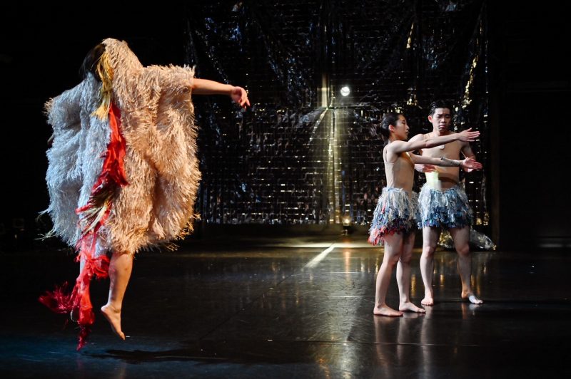 “Research on birds for the recreation of ‘cockcrow：repetitions'”