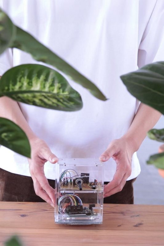 Timeless layers upon layers