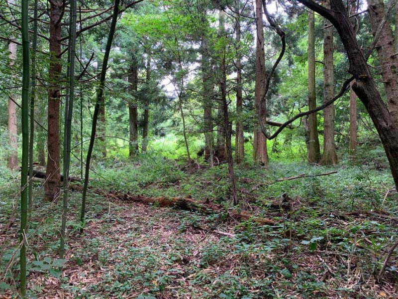 岩倉古墳群