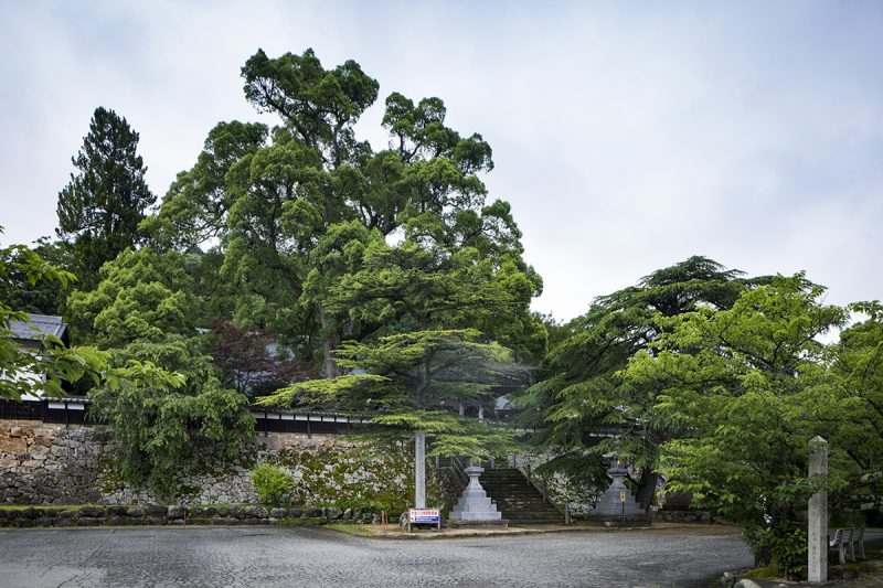 香美
